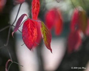 JN8.2-0903-810.1-0903