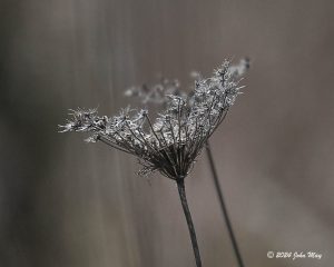 JN8.2-0970-810.1-0970