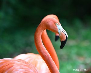 JN8.2-6507-810.1-6507