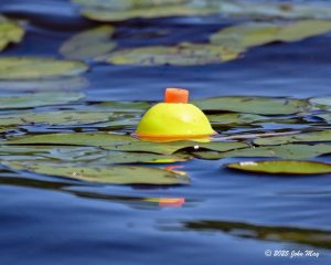 JN8.2-7679-810.1-7679