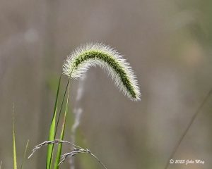 JN8.2-8347-810.1-8347