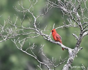 JN8.2-8360-810.1-8360