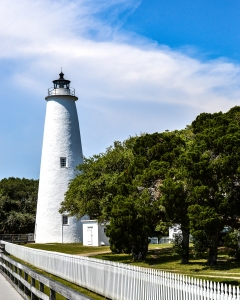 DSC0687-1.810.clr (1)