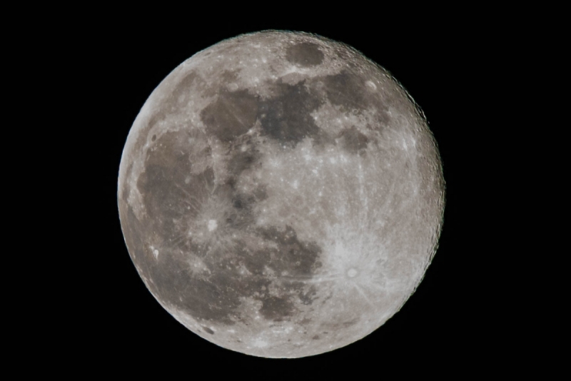 JEM5830.NEF - Copy 1 (1 of 1)