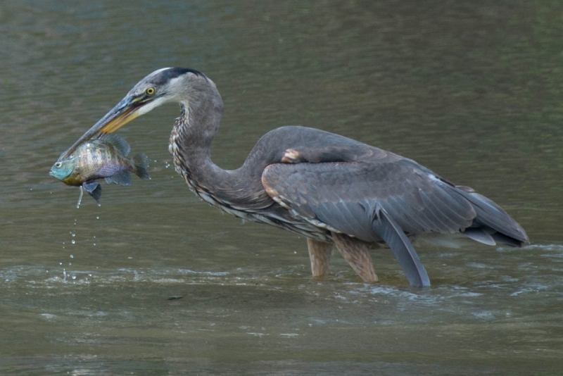 JEM7359.NEF - Copy 1 (1 of 1)