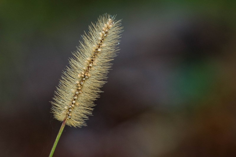 JMA7171.NEF - Copy 1 (1 of 1)