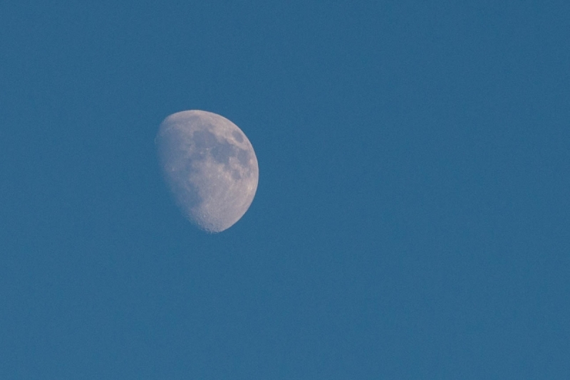 JMA8598.NEF - Copy 1 (1 of 1)