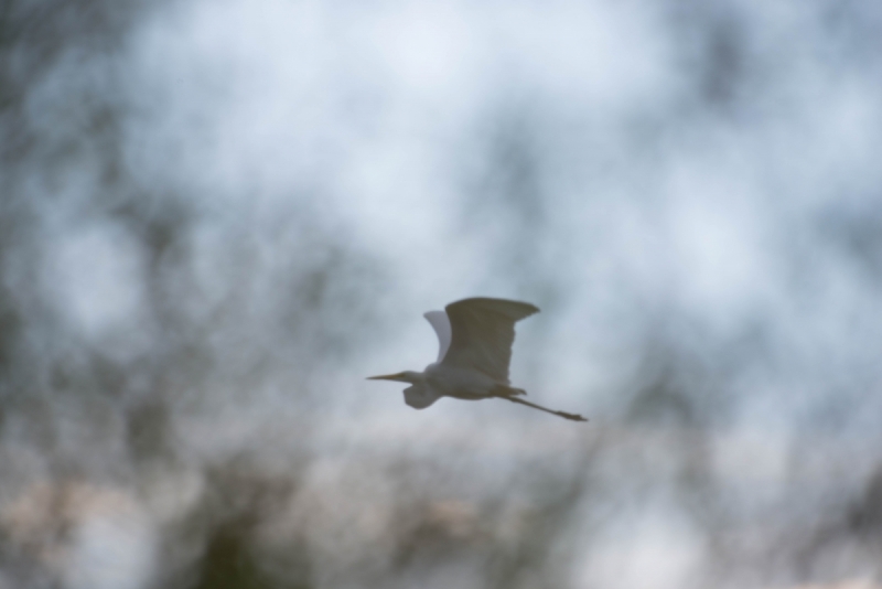 JMA8893.NEF (1 of 1)