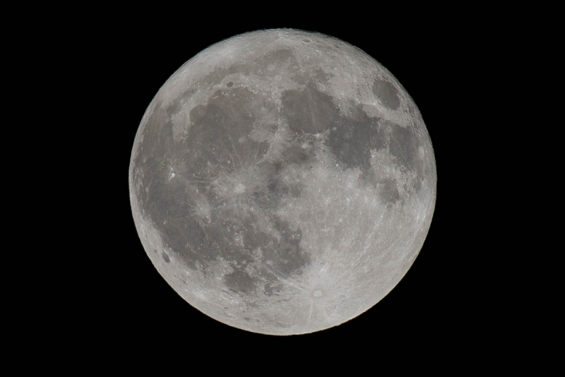 JMA8950.NEF - Copy 1 (1 of 1)