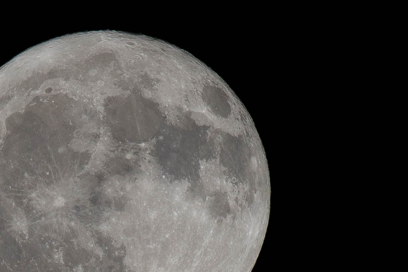 JMA8950.NEF - Copy 2 (1 of 1)