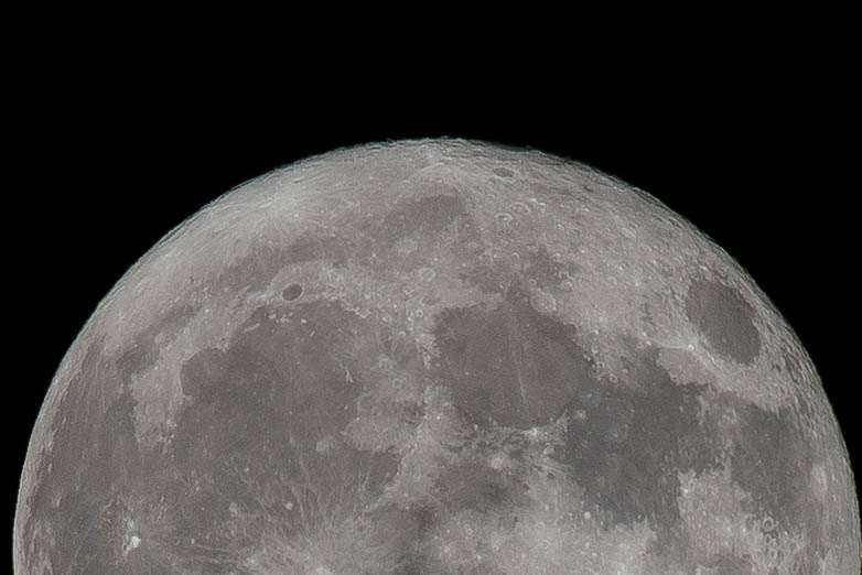 JMA8950.NEF - Copy 3 (1 of 1)