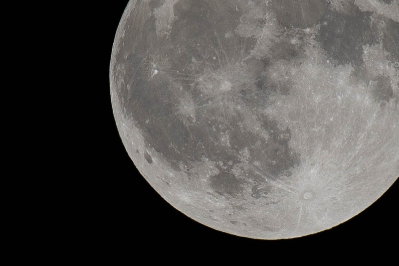 JMA8950.NEF - Copy 4 (1 of 1)