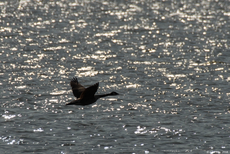 JMC0193.NEF - Copy 1 (1 of 1) - Copy