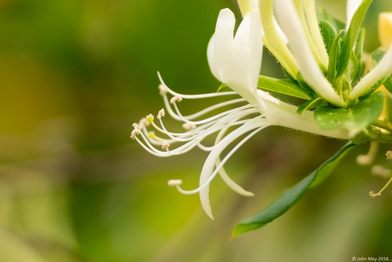 JMC0639.NEF - Copy 1 (1 of 1)