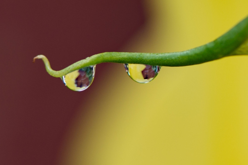 JMC3599.NEF - Copy 1 (1 of 1)