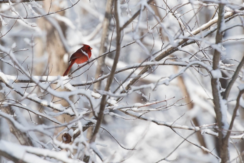  JMB3567.NEF - Copy 1 (1 of 1) - Copy