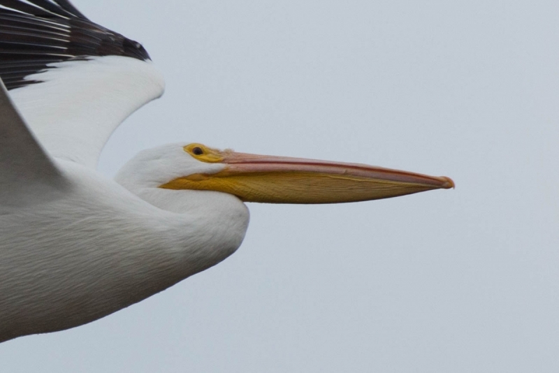  JMB4974.NEF - Copy2 (1 of 1) - Copy